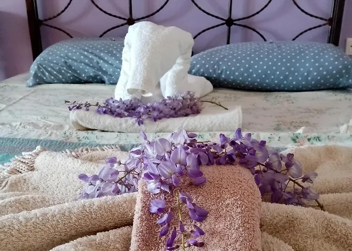 Afrodite 1 Case de vacanță