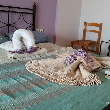 Afrodite 1 Holiday home